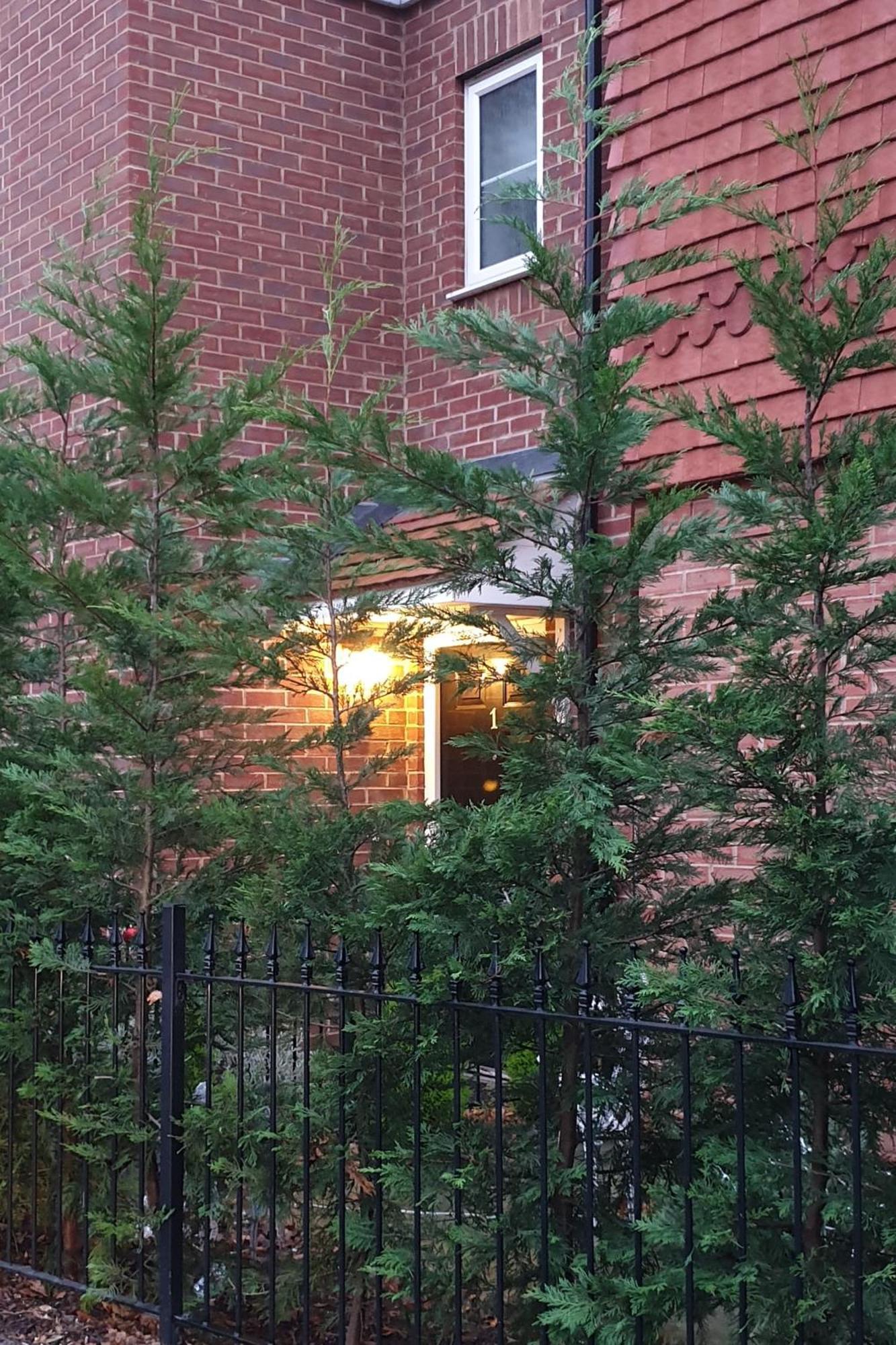 M&B Haven - Sittingbourne Apartment Екстериор снимка